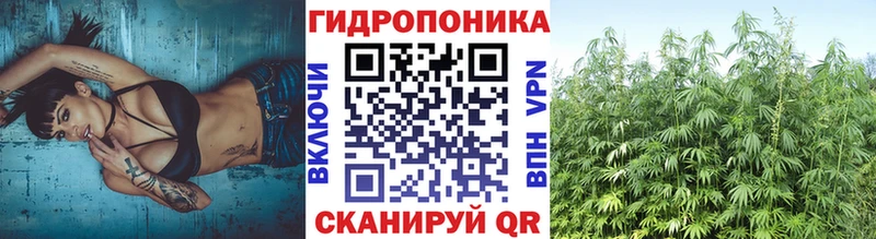 Купить наркоту Сосногорск Alpha PVP  Кокаин  ГАШ  Меф мяу мяу  Амфетамин  МАРИХУАНА 