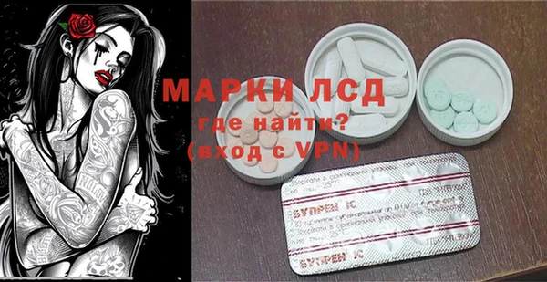 стаф Арсеньев
