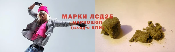 стаф Арсеньев