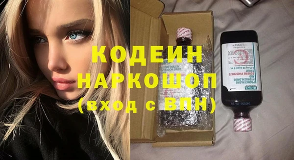 стаф Арсеньев