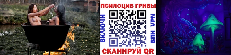 сколько стоит  Сосногорск  Псилоцибиновые грибы Psilocybine cubensis 